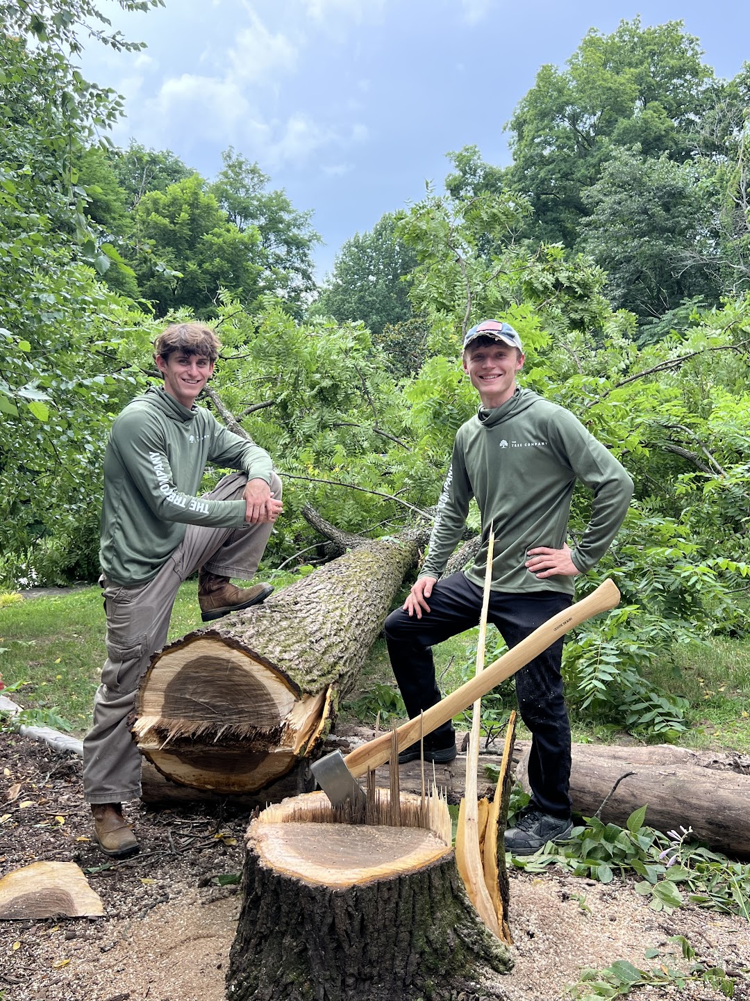 The Tree Co. crew on the job
